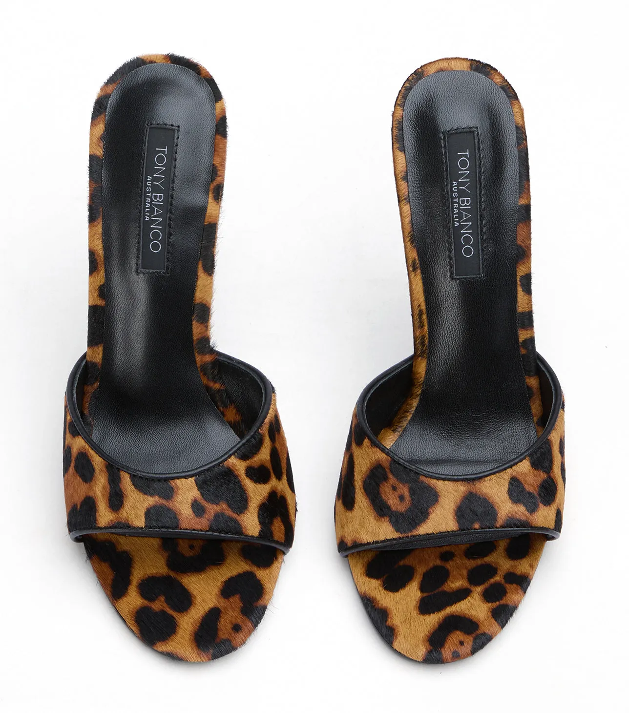 Kate Brown Leopard