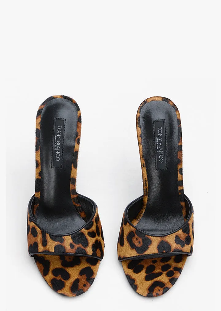 Kate Brown Leopard