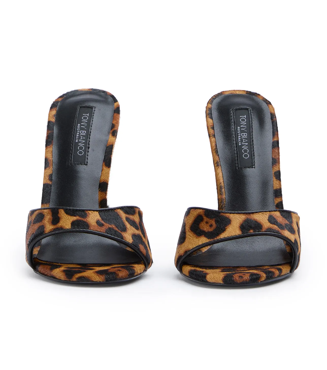 Kate Brown Leopard