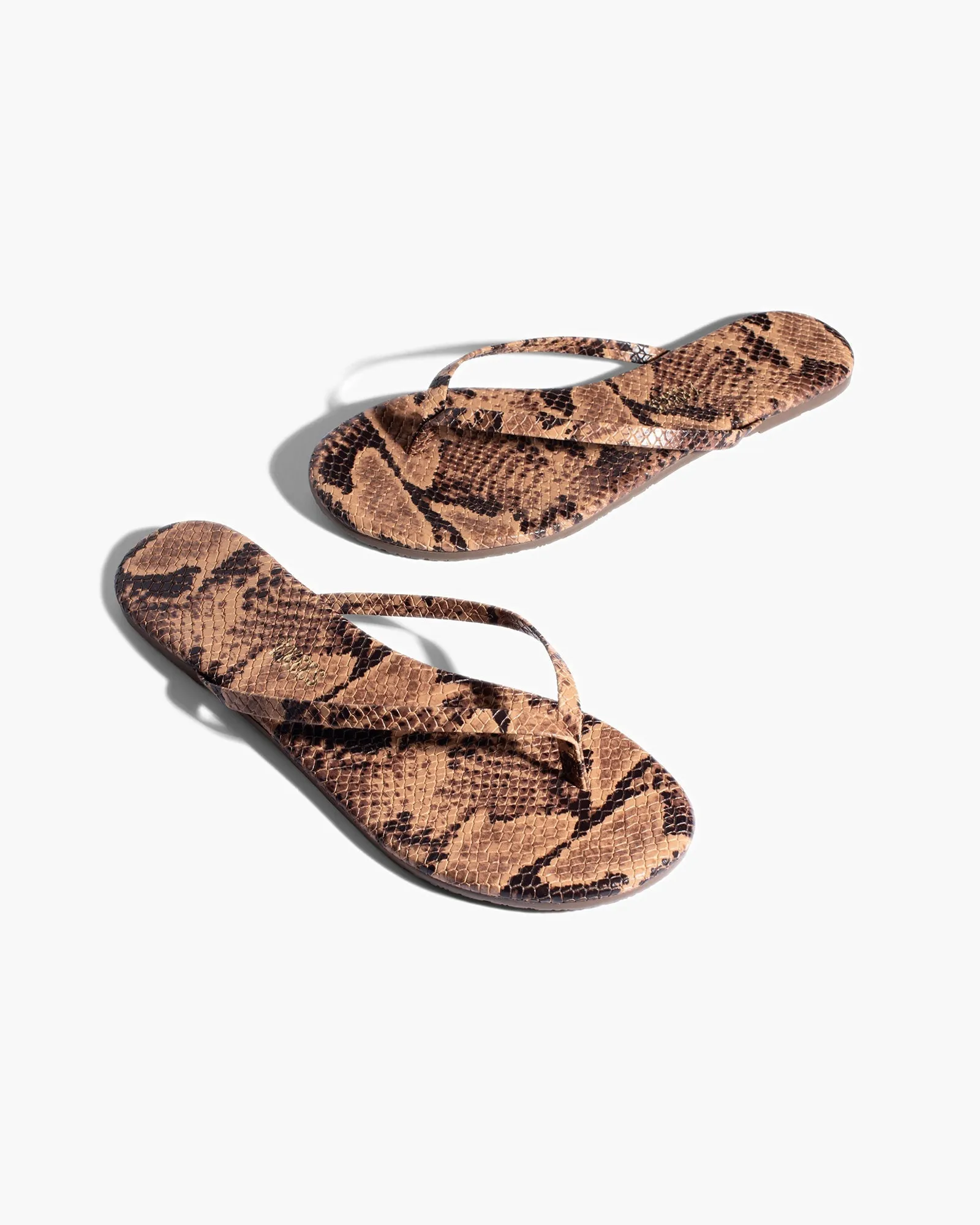 Lily Vegan Animal - Coco Snake