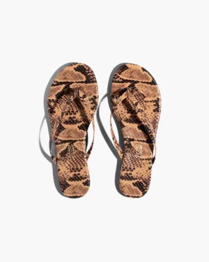 Lily Vegan Animal - Coco Snake