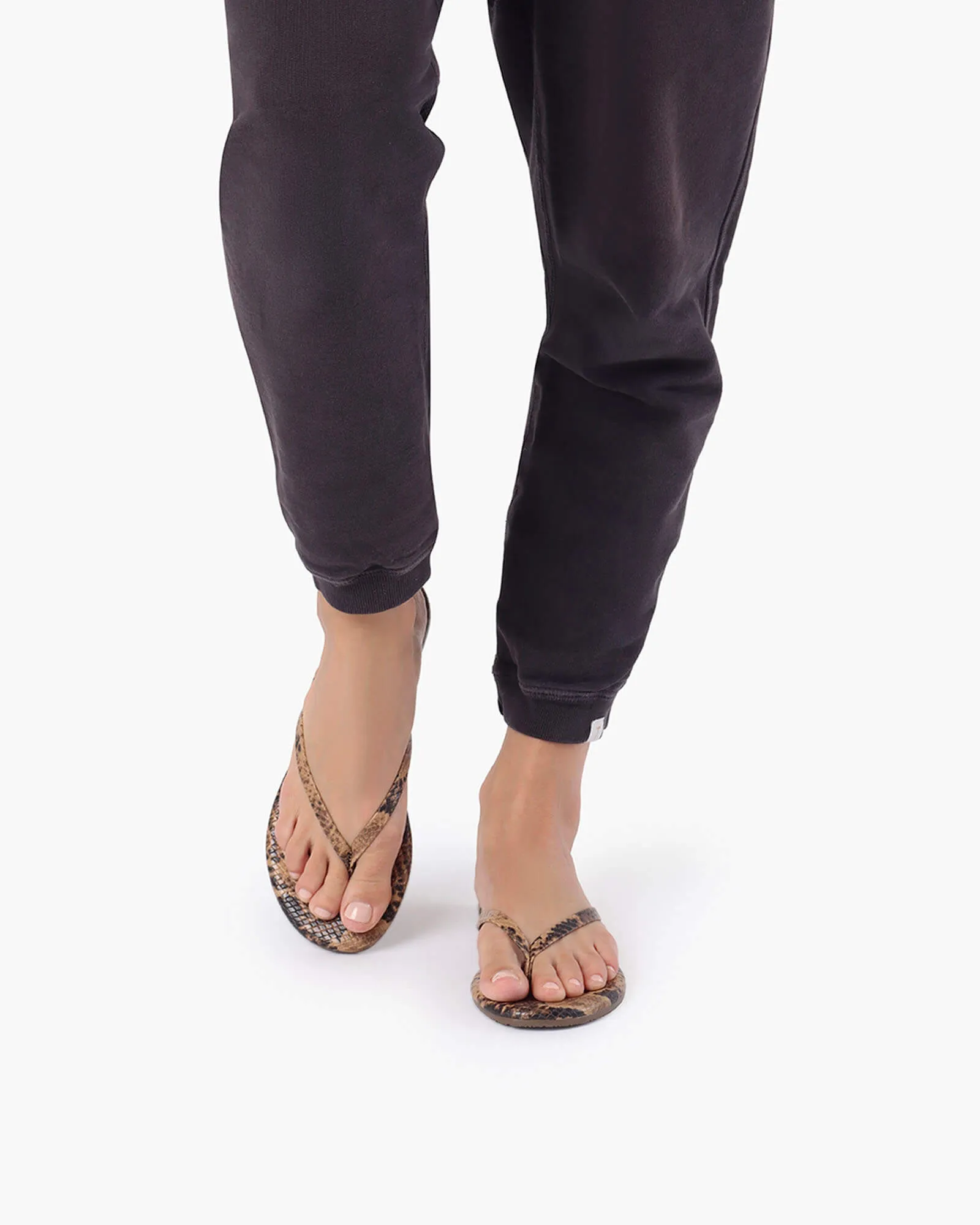 Lily Vegan Animal - Coco Snake